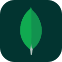 /custom-icons/mongodb.png Language